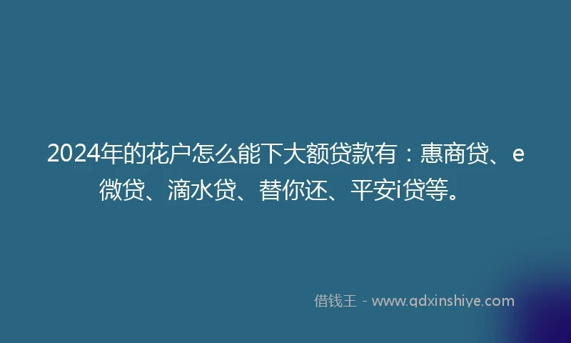 2024年的花户怎么能下大额贷款有：惠商贷、e微贷、滴水贷、替你还、平安i贷等。
