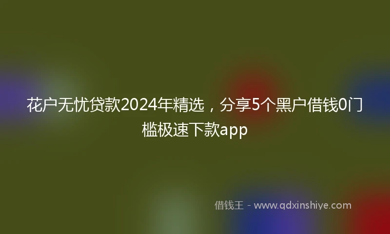 花户无忧贷款2024年精选，分享5个黑户借钱0门槛极速下款app