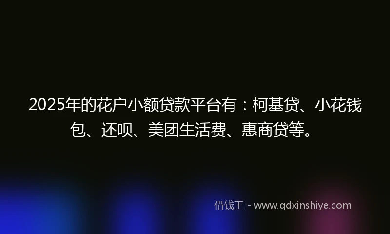 2025年的花户小额贷款平台有：柯基贷、小花钱包、还呗、美团生活费、惠商贷等。