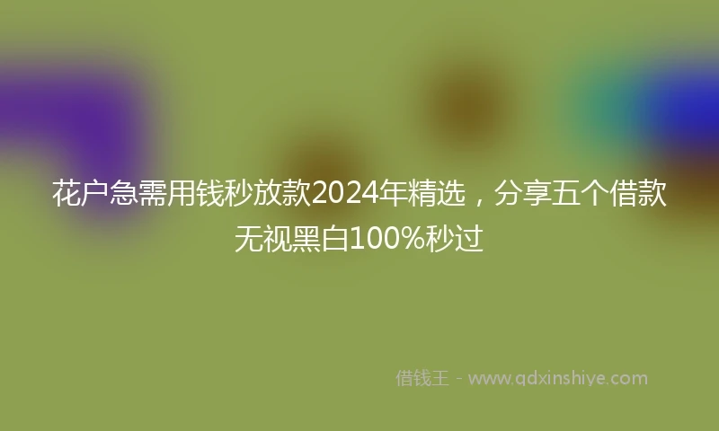 花户急需用钱秒放款2024年精选，分享五个借款无视黑白100%秒过