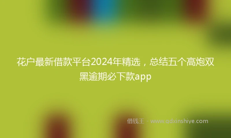 花户最新借款平台2024年精选，总结五个高炮双黑逾期必下款app