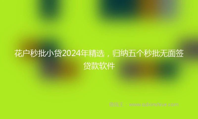 花户秒批小贷2024年精选，归纳五个秒批无面签贷款软件
