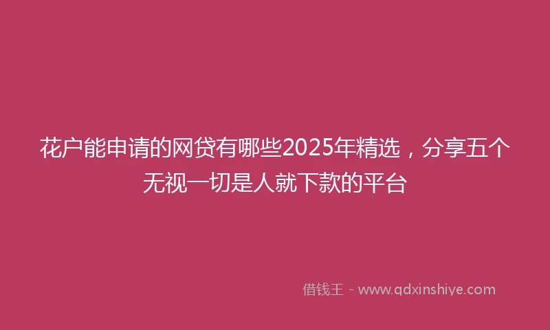 花户能申请的网贷有哪些2025年精选，分享五个无视一切是人就下款的平台