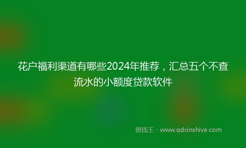 花户福利渠道有哪些2024年推荐，汇总五个不查流水的小额度贷款软件