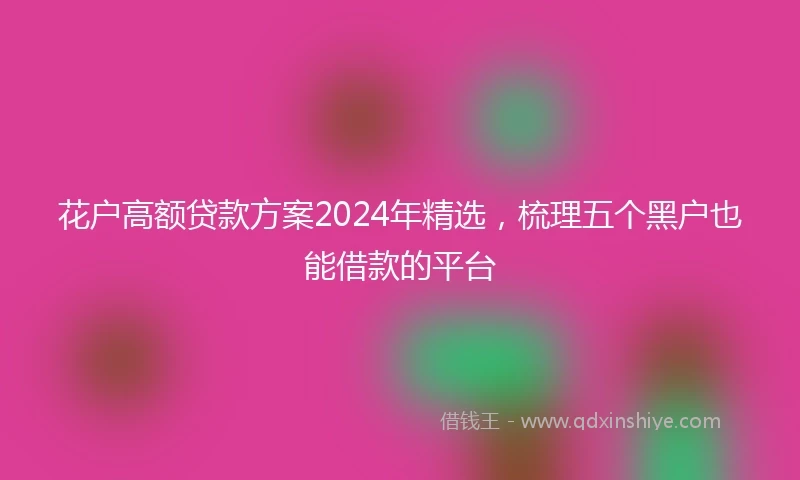 花户高额贷款方案2024年精选，梳理五个黑户也能借款的平台