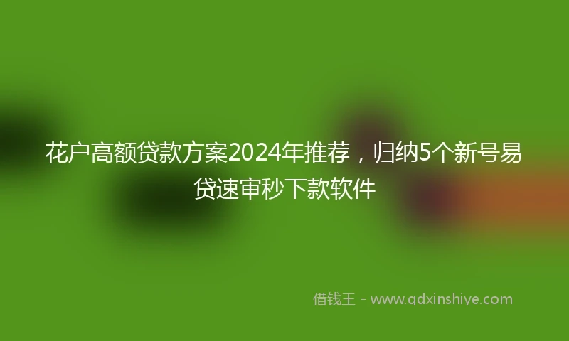 花户高额贷款方案2024年推荐，归纳5个新号易贷速审秒下款软件