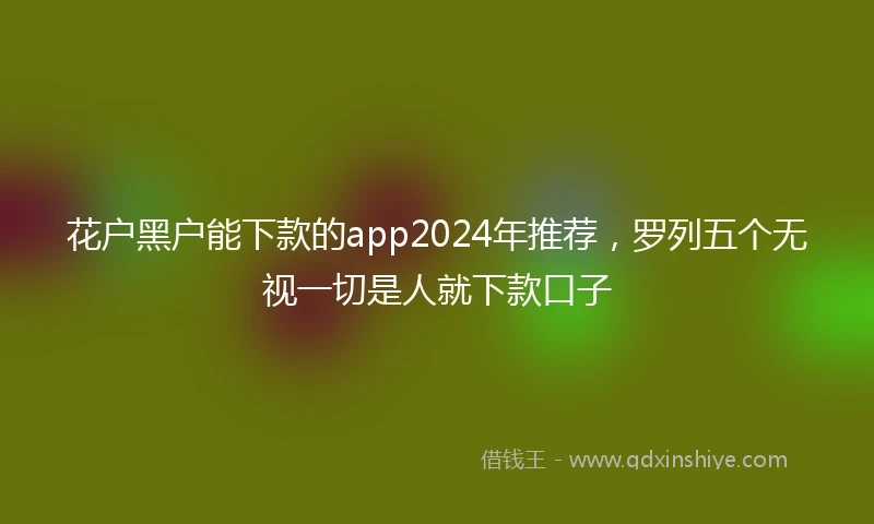 花户黑户能下款的app2024年推荐，罗列五个无视一切是人就下款口子