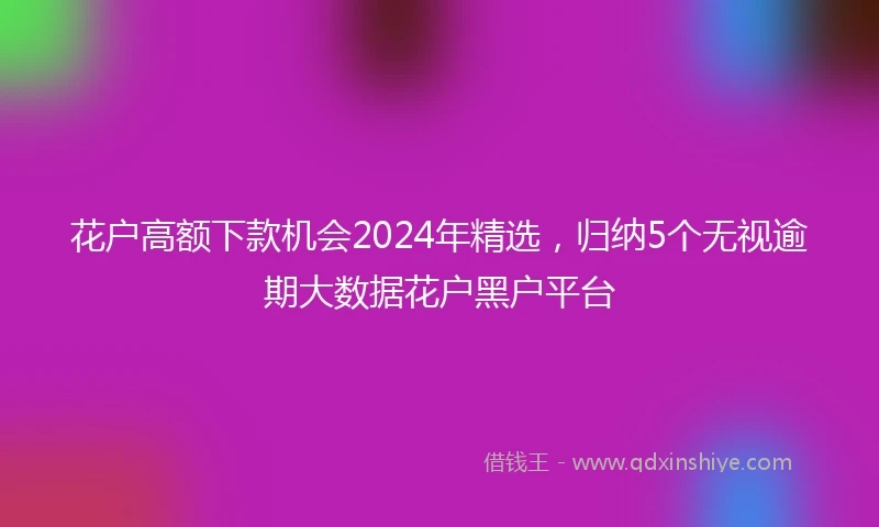 花户高额下款机会2024年精选，归纳5个无视逾期大数据花户黑户平台