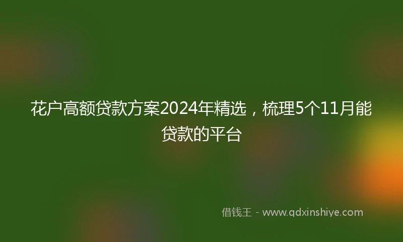 花户高额贷款方案2024年精选，梳理5个11月能贷款的平台