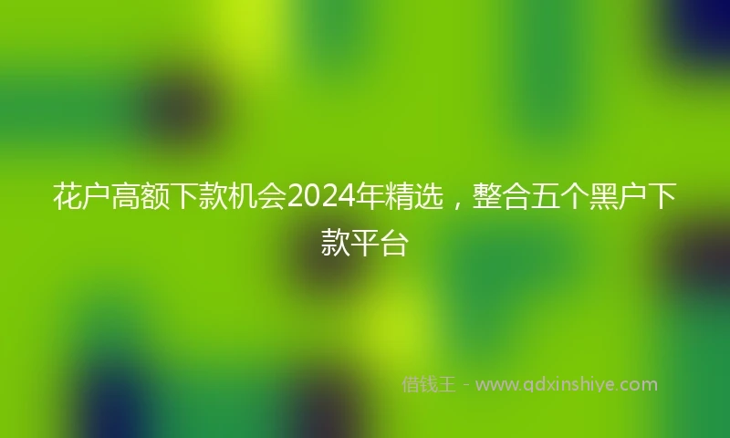 花户高额下款机会2024年精选，整合五个黑户下款平台