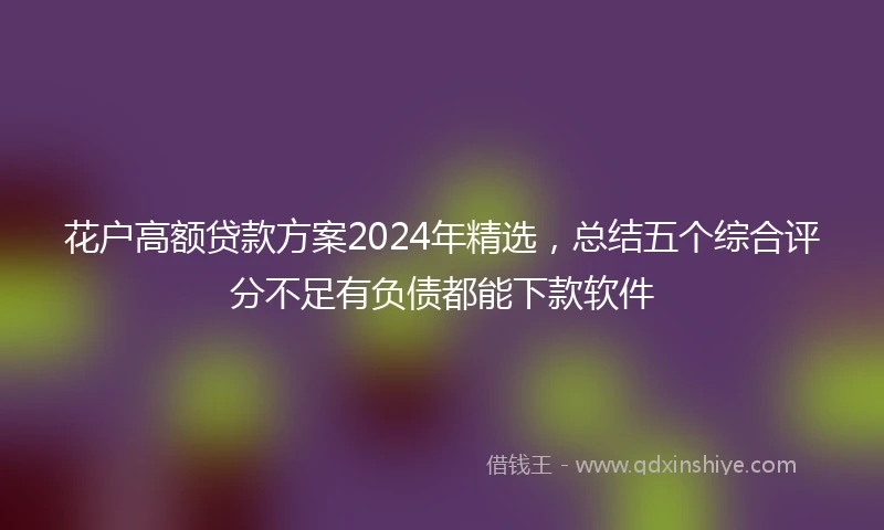 花户高额贷款方案2024年精选，总结五个综合评分不足有负债都能下款软件
