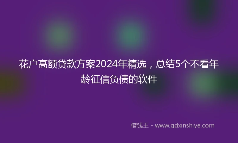花户高额贷款方案2024年精选，总结5个不看年龄征信负债的软件