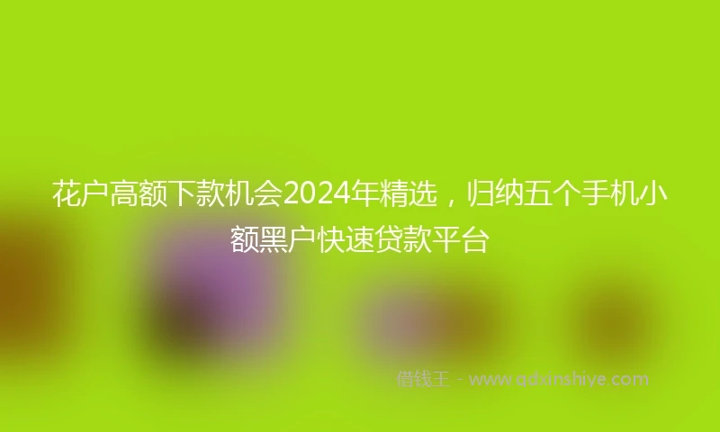 花户高额下款机会2024年精选，归纳五个手机小额黑户快速贷款平台