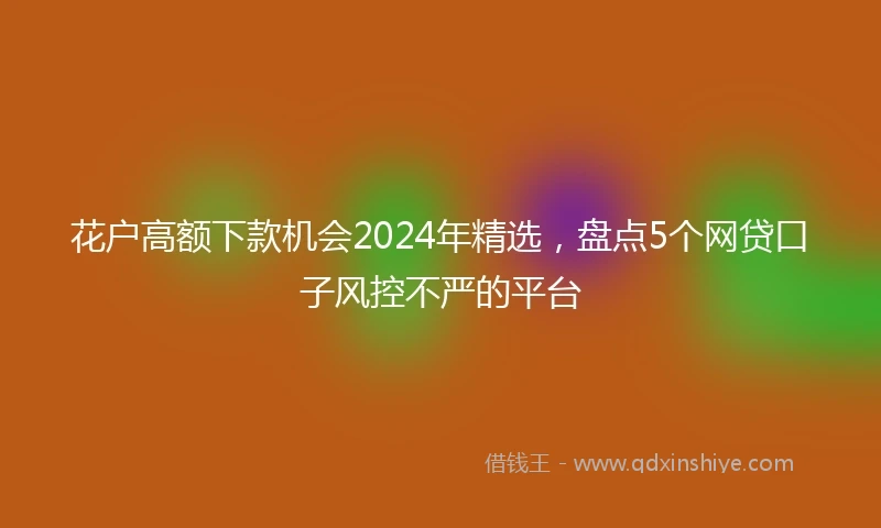 花户高额下款机会2024年精选，盘点5个网贷口子风控不严的平台