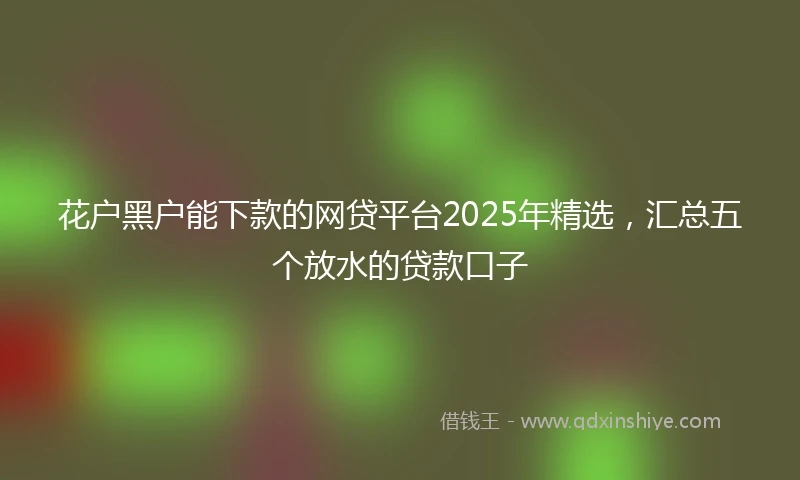 花户黑户能下款的网贷平台2025年精选，汇总五个放水的贷款口子