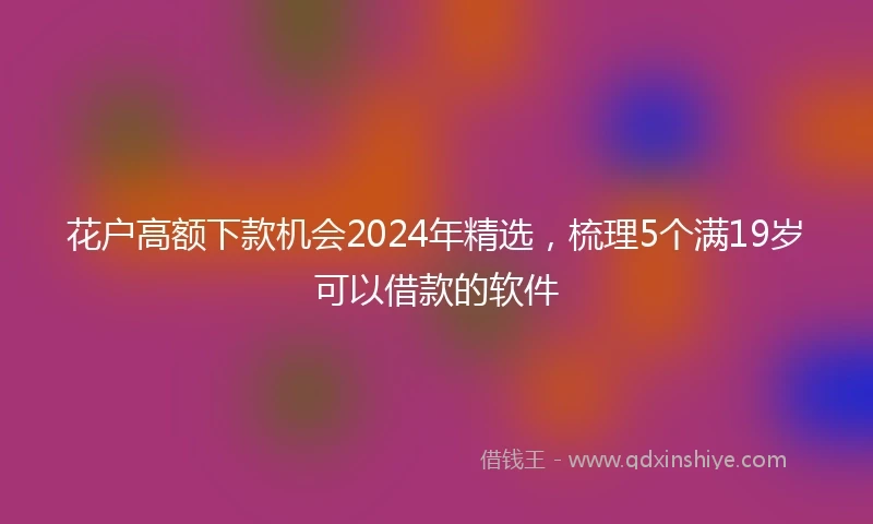 花户高额下款机会2024年精选，梳理5个满19岁可以借款的软件