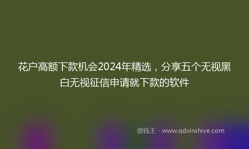 花户高额下款机会2024年精选，分享五个无视黑白无视征信申请就下款的软件