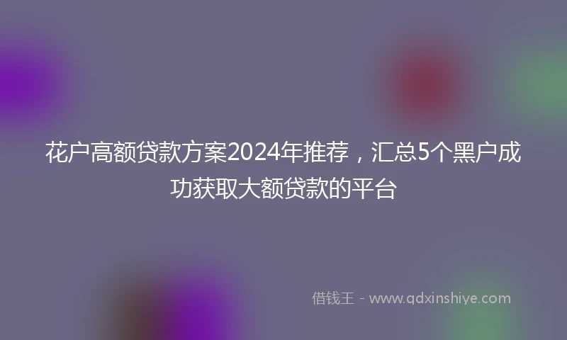 花户高额贷款方案2024年推荐，汇总5个黑户成功获取大额贷款的平台