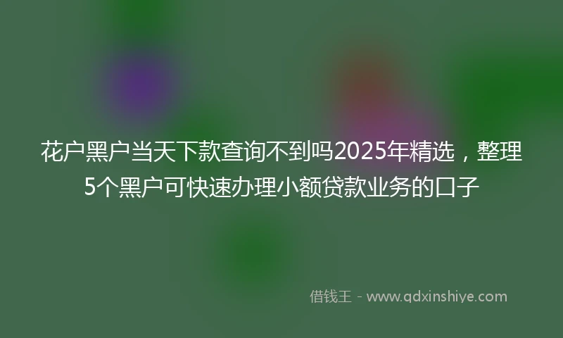 花户黑户当天下款查询不到吗2025年精选，整理5个黑户可快速办理小额贷款业务的口子
