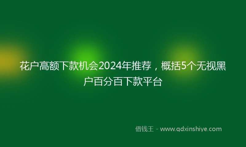 花户高额下款机会2024年推荐，概括5个无视黑户百分百下款平台