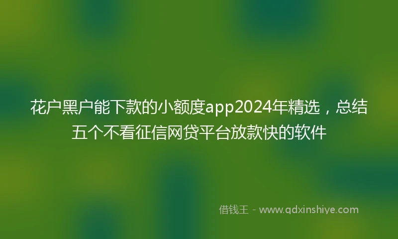 花户黑户能下款的小额度app2024年精选，总结五个不看征信网贷平台放款快的软件