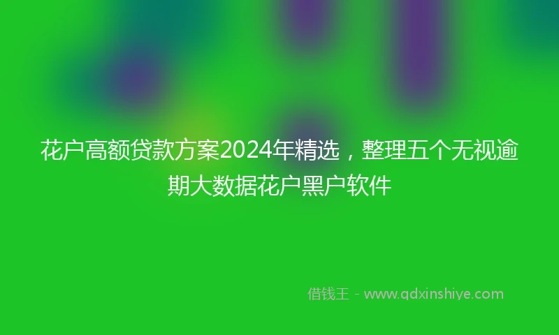花户高额贷款方案2024年精选，整理五个无视逾期大数据花户黑户软件