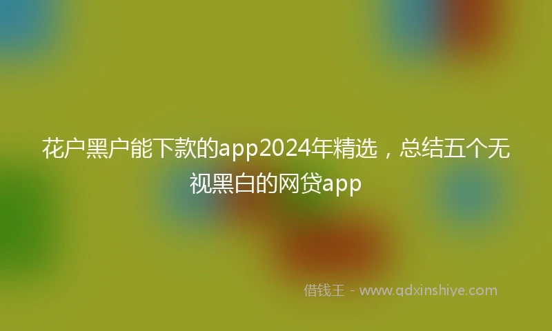 花户黑户能下款的app2024年精选，总结五个无视黑白的网贷app