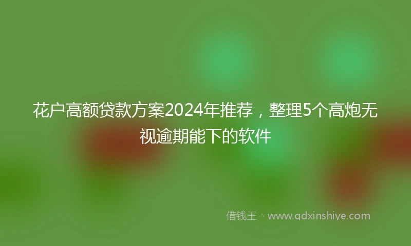 花户高额贷款方案2024年推荐，整理5个高炮无视逾期能下的软件