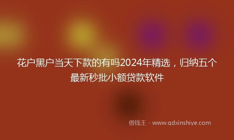 花户黑户当天下款的有吗2024年精选，归纳五个最新秒批小额贷款软件