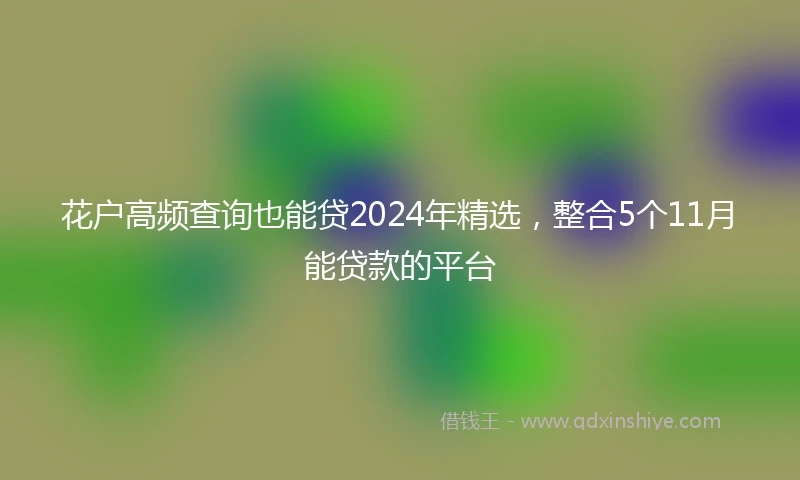 花户高频查询也能贷2024年精选，整合5个11月能贷款的平台