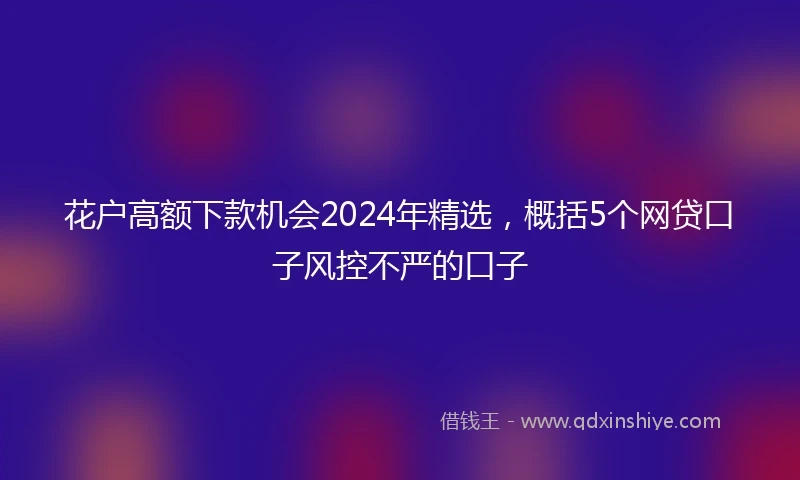 花户高额下款机会2024年精选，概括5个网贷口子风控不严的口子