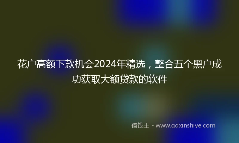 花户高额下款机会2024年精选，整合五个黑户成功获取大额贷款的软件