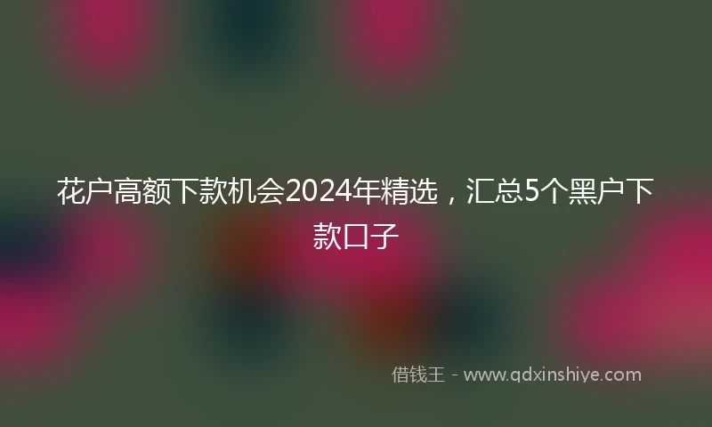 花户高额下款机会2024年精选，汇总5个黑户下款口子