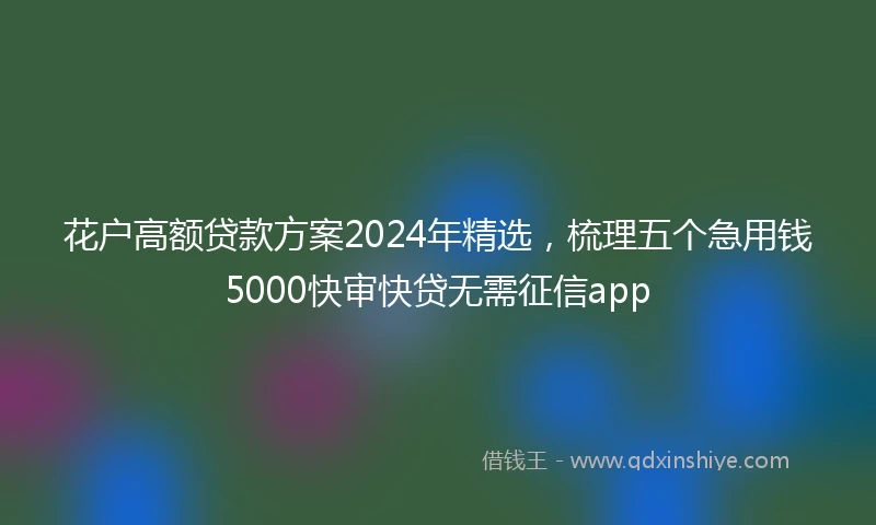 花户高额贷款方案2024年精选，梳理五个急用钱5000快审快贷无需征信app