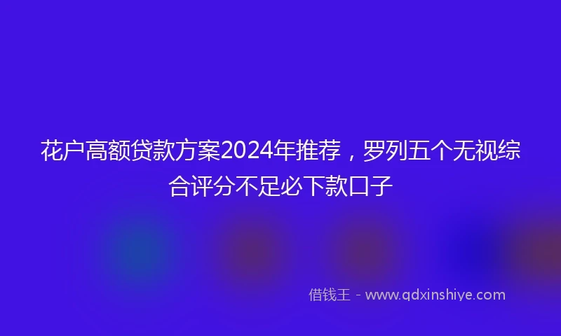 花户高额贷款方案2024年推荐，罗列五个无视综合评分不足必下款口子