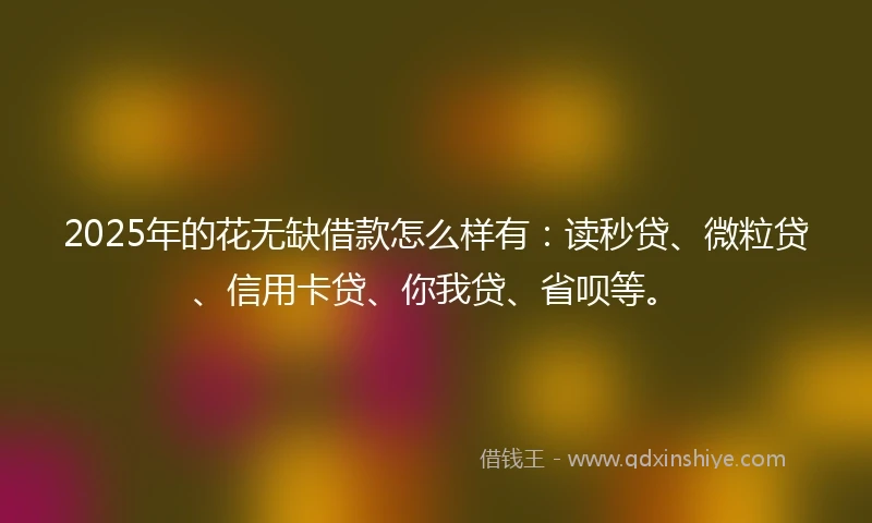 2025年的花无缺借款怎么样有：读秒贷、微粒贷、信用卡贷、你我贷、省呗等。