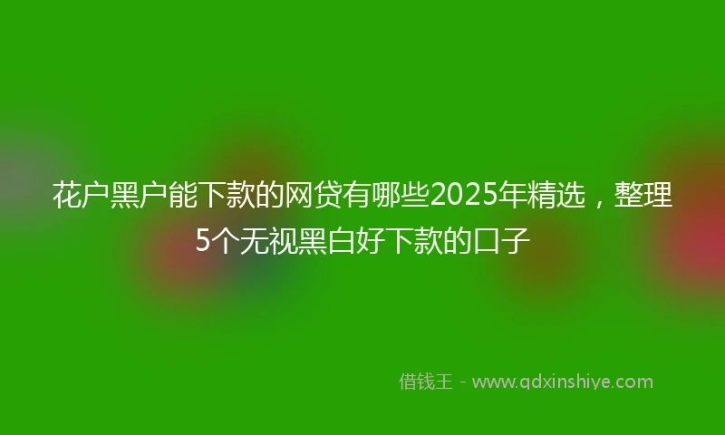 花户黑户能下款的网贷有哪些2025年精选，整理5个无视黑白好下款的口子