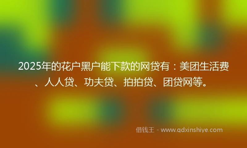 2025年的花户黑户能下款的网贷有：美团生活费、人人贷、功夫贷、拍拍贷、团贷网等。