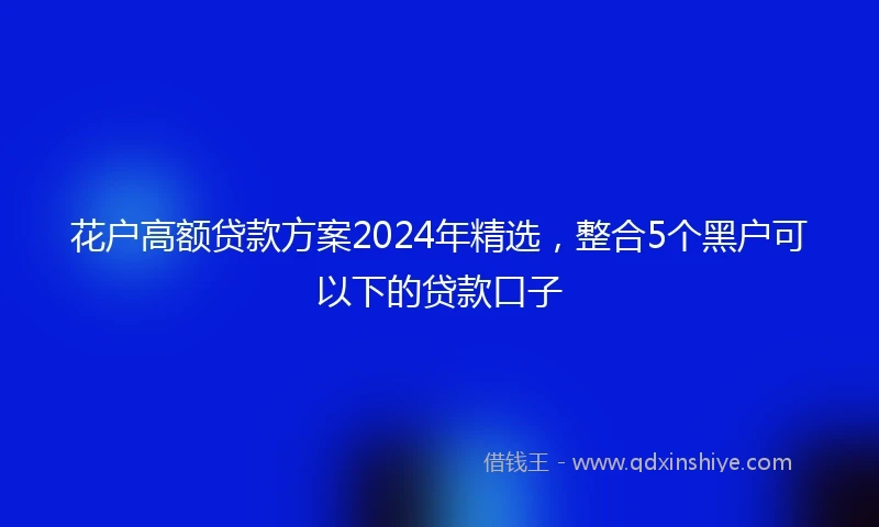 花户高额贷款方案2024年精选，整合5个黑户可以下的贷款口子