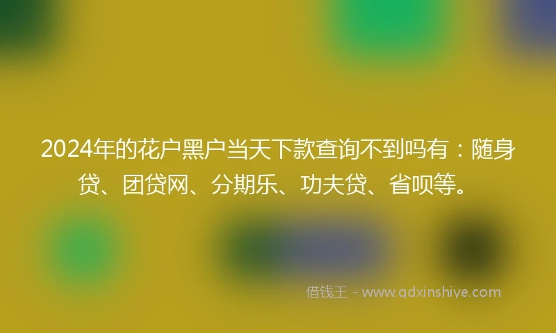 2024年的花户黑户当天下款查询不到吗有：随身贷、团贷网、分期乐、功夫贷、省呗等。