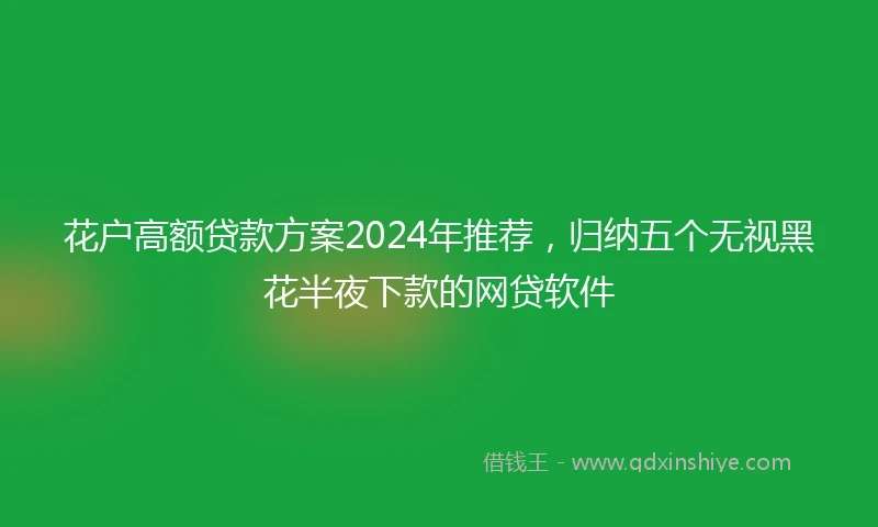 花户高额贷款方案2024年推荐，归纳五个无视黑花半夜下款的网贷软件