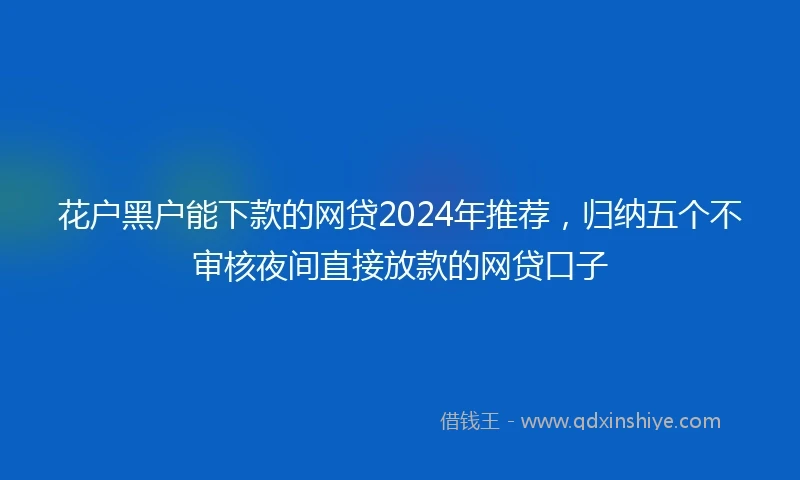 花户黑户能下款的网贷2024年推荐，归纳五个不审核夜间直接放款的网贷口子