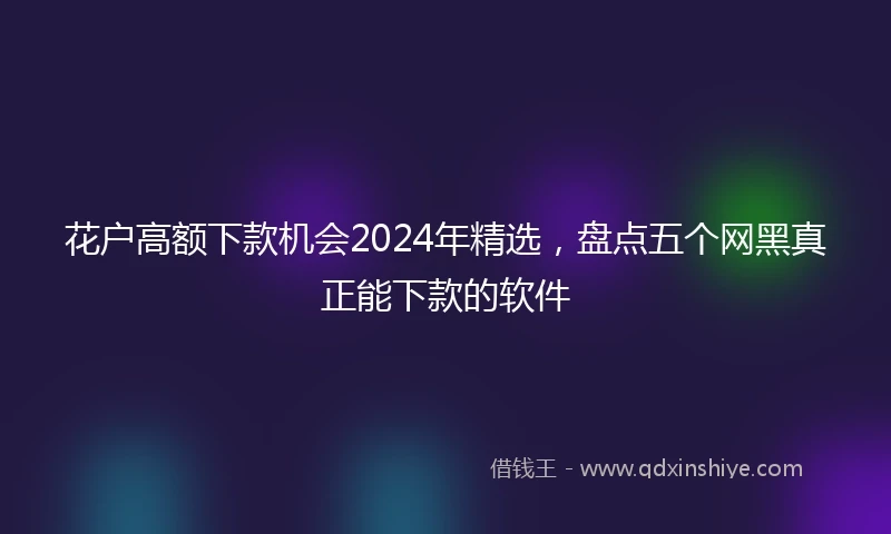 花户高额下款机会2024年精选，盘点五个网黑真正能下款的软件
