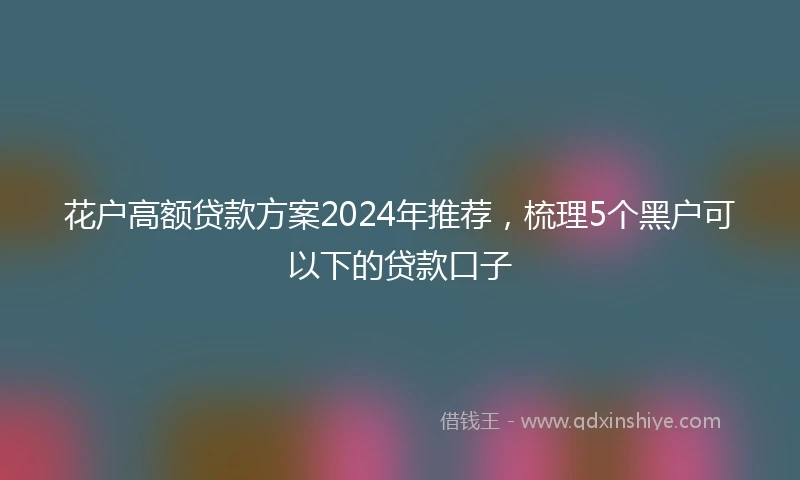 花户高额贷款方案2024年推荐，梳理5个黑户可以下的贷款口子