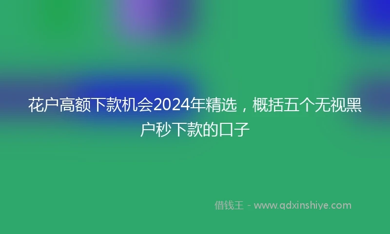 花户高额下款机会2024年精选，概括五个无视黑户秒下款的口子