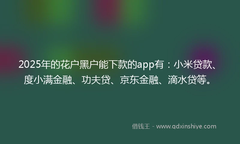 2025年的花户黑户能下款的app有：小米贷款、度小满金融、功夫贷、京东金融、滴水贷等。