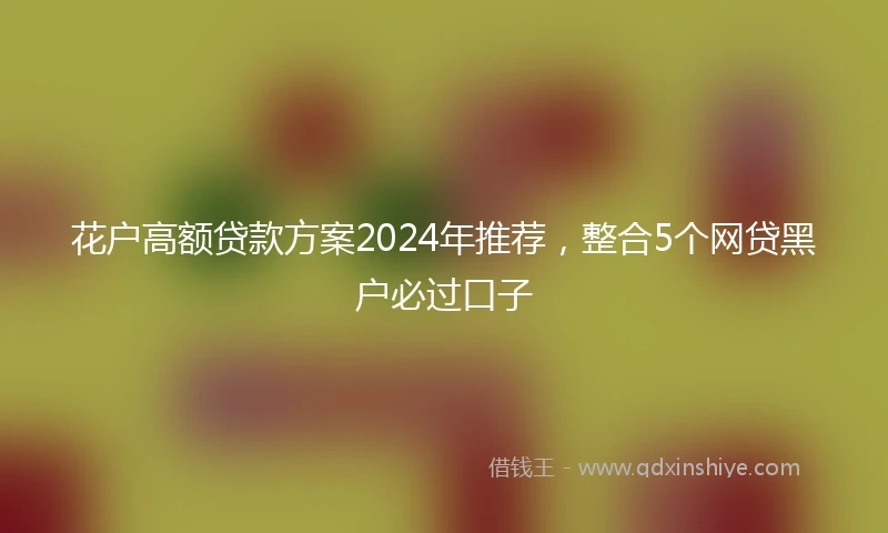 花户高额贷款方案2024年推荐，整合5个网贷黑户必过口子