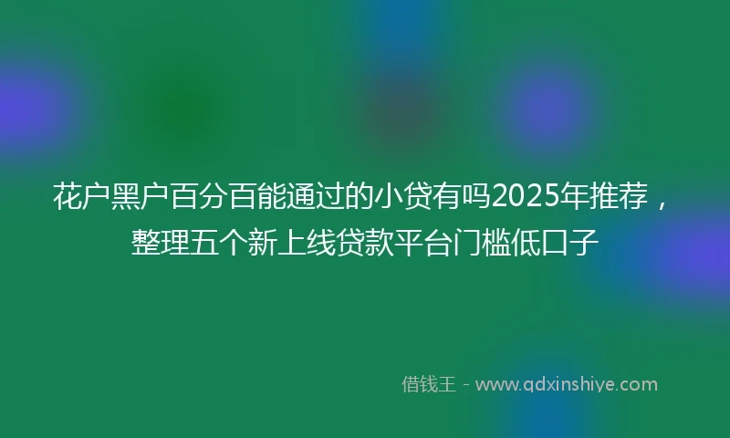 花户黑户百分百能通过的小贷有吗2025年推荐，整理五个新上线贷款平台门槛低口子
