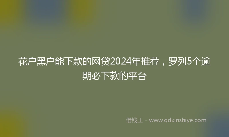 花户黑户能下款的网贷2024年推荐，罗列5个逾期必下款的平台