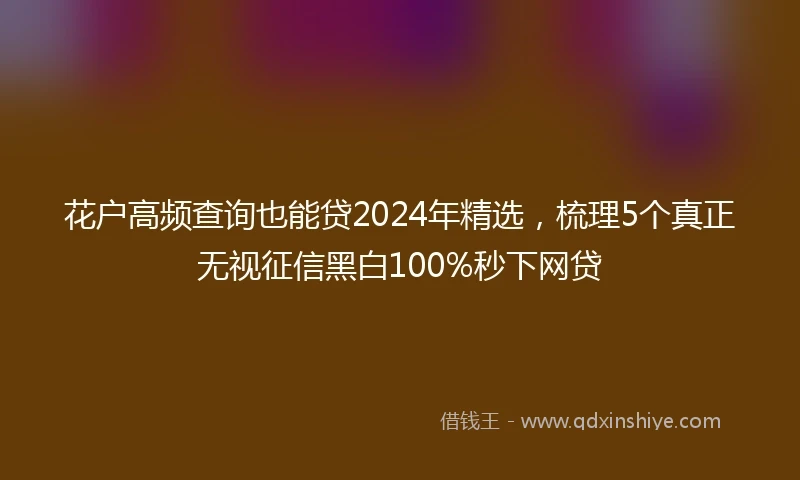 花户高频查询也能贷2024年精选，梳理5个真正无视征信黑白100%秒下网贷